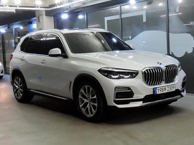BMW X5 (X5 (G05. 18.11~현재)) 30d xDrive