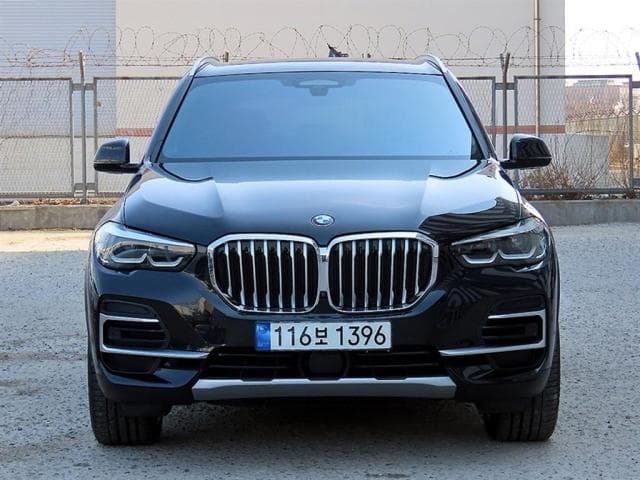 BMW X5 (X5 (G05. 18.11~현재)) 30d xDrive