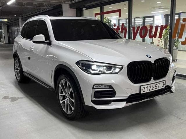 BMW X5 (X5 (G05. 18.11~현재)) 30d xDrive