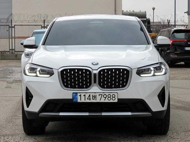 BMW X4 (X4 (G02. 18.11~현재)) 20d xDrive